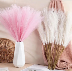Fluffy pampas grass set of 5