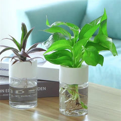Mini Hydroponic Flower Pot Home Vase Pack Of 2