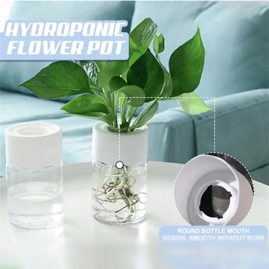 Mini Hydroponic Flower Pot Home Vase Pack Of 2